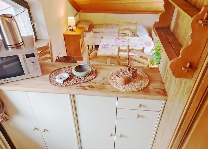 Calm Located Penthouse Near Nuernberg *