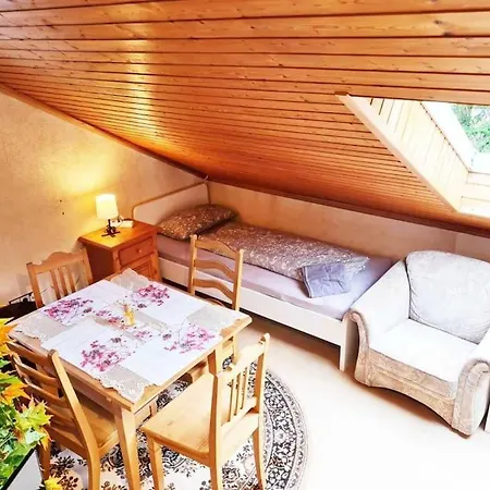 Calm Located Penthouse Near Nuernberg *